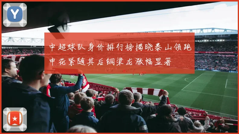 中超球队身价排行榜揭晓泰山领跑申花紧随其后铜梁龙涨幅显著