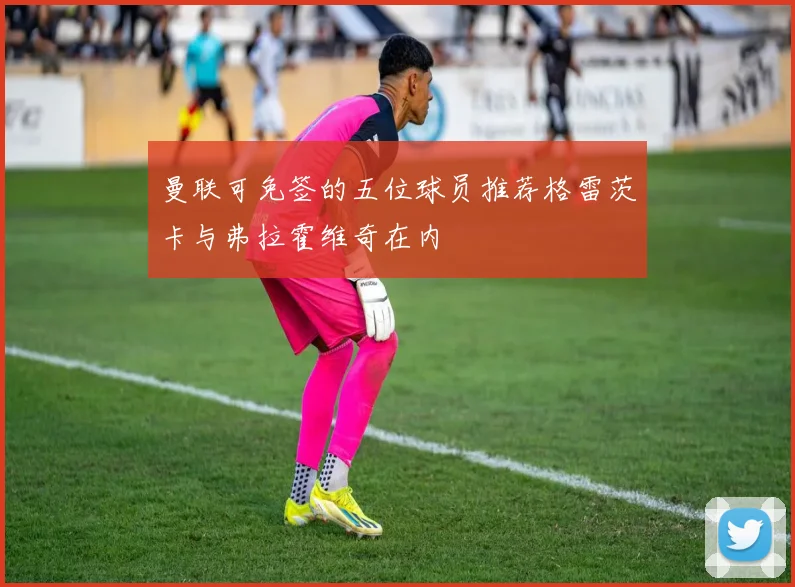 曼联可免签的五位球员推荐格雷茨卡与弗拉霍维奇在内