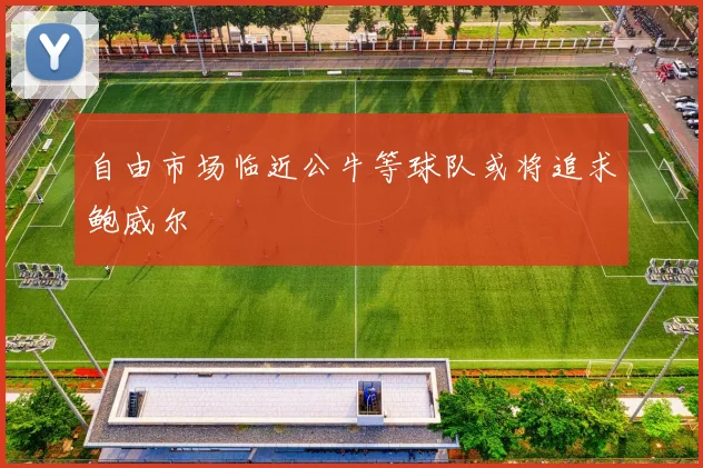 自由市场临近公牛等球队或将追求鲍威尔